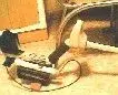 Photo003.webp