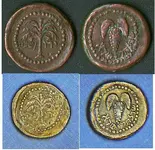 MY COIN.webp