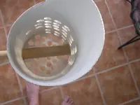 inside of scoop.webp