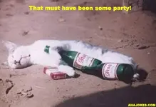 drunk.webp