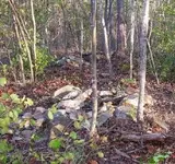 Apr 1 Pile 1 and 2 Looking North.webp