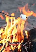 RoastingMarshmallow.webp