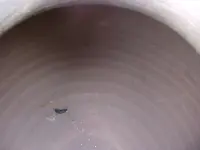 Mexican large inside.webp