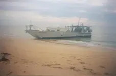 early bravo on beach.webp