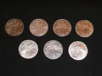7 Silver Dollars Small Pic.webp