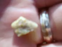 aug bird in hand close.webp