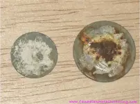 rusty coins.webp