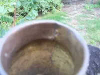 bowl09.webp
