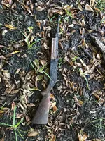 bb gun.webp