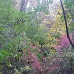 20211114_154203.webp