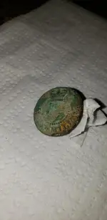 Button 11.webp