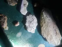 thumbnail_20211116_084301.webp