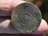 basket weave dandy button.webp