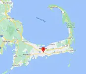 Cape Cod.webp