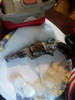 20211119_161304.webp