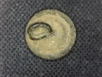 buckle 1.webp