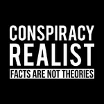 Conspiracy Realist.webp
