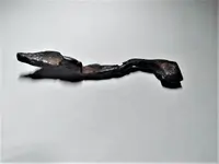 20211124_165834.webp