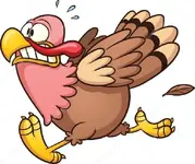 depositphotos_14876173-stock-illustration-cartoon-turkey.webp