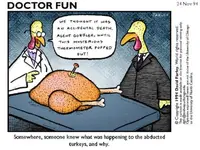 turkey 3.webp