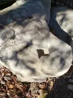20201116_111421.webp