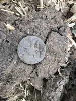 button.webp