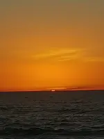 20211125_173545_Burst01.webp