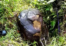 Japanese_stone-carving_3.webp