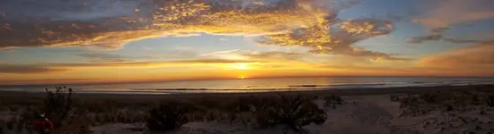 20211125_065220.webp