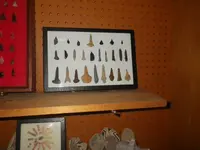 IMGP9139.webp