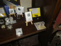 IMGP9029.webp