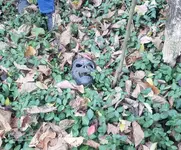 20211202_205143.webp