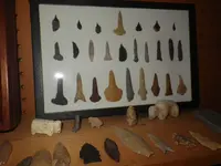 IMGP8978.webp
