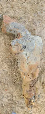 20211118_115934.webp