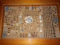 IMGP7921.webp