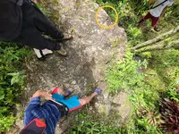6D984B94-043F-4BC3-ABEF-40343F39CE7E.webp