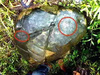 stone1.webp