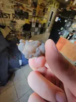20211209_113736.webp