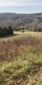 20211209_121631_HDR.webp