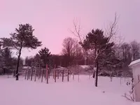 20211211_170233.webp