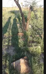 Screenshot_2021-12-17-09-36-32.webp