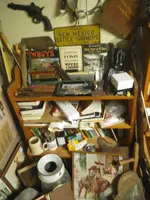 IMGP9203.webp