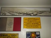 IMGP9205.webp