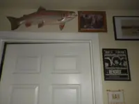 IMGP9206.webp