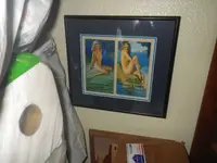 IMGP9209.webp