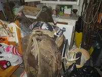 IMGP9213.webp