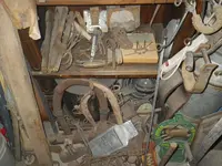 IMGP9219.webp