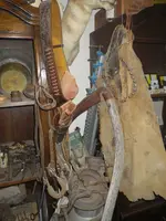 IMGP9220.webp