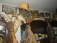 IMGP9221.webp