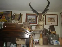IMGP9229.webp
